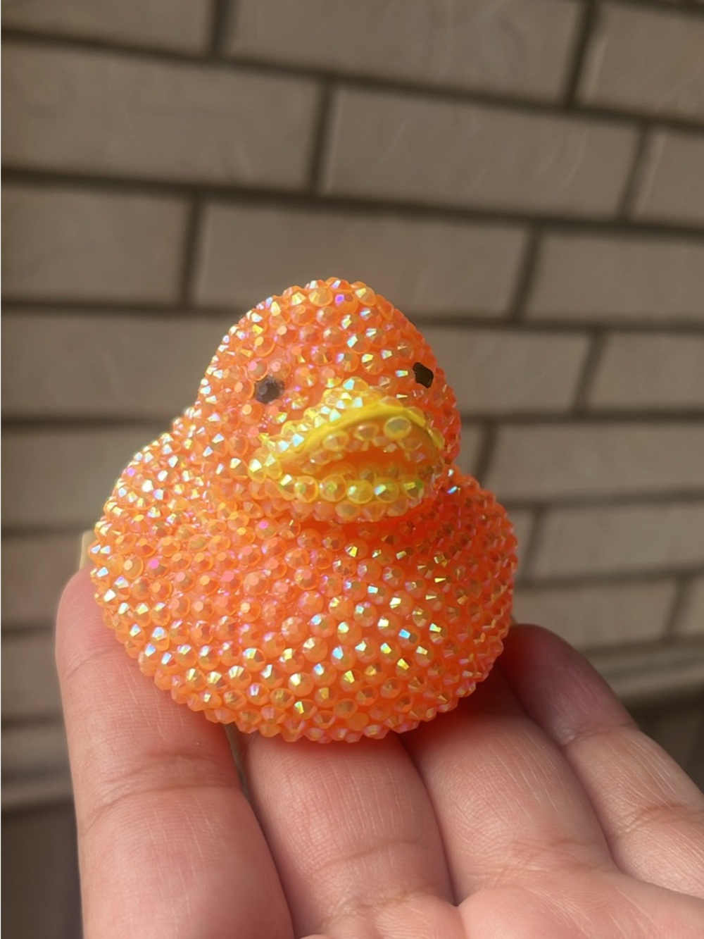 Bedazzled duck